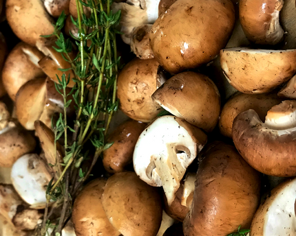 BowlFace Wild Mushroom Soup