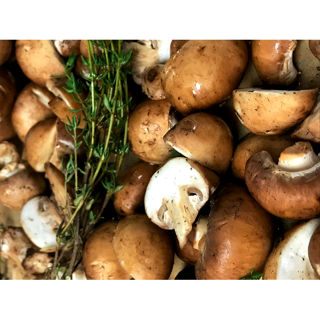 BowlFace Wild Mushroom Soup