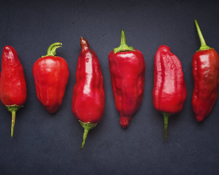 Pickle Sriracha Dip image 3